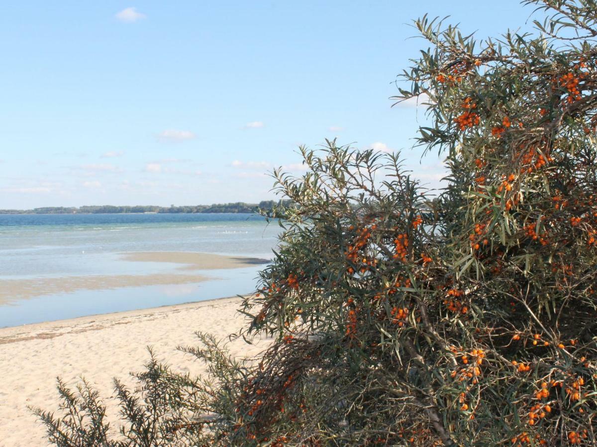 Lovely Bungalow Near Sea In Elmenhorst Kalkhorst 외부 사진